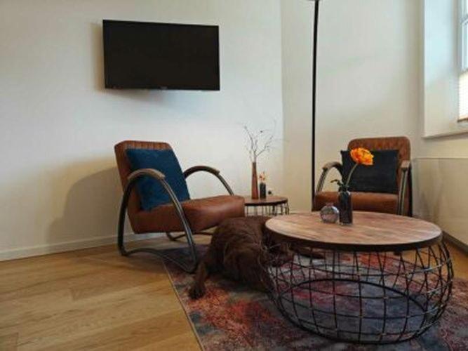 Artroom Boarding Apartment Bissendorf Eksteriør bilde