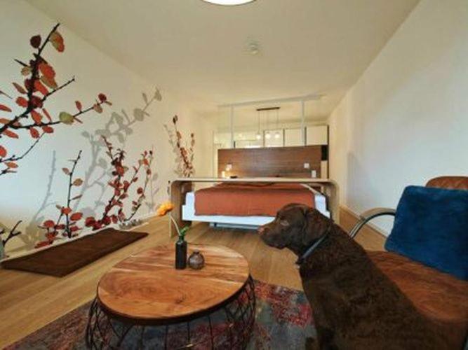 Artroom Boarding Apartment Bissendorf Eksteriør bilde
